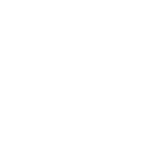 BASIC COMPUTER SKILLS